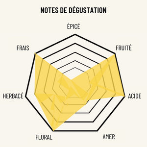 OSCO L'Eclat Brut bio - pétillant sans alcool bio et fabriqué en France. Ses notes  de fruits du verger, feuille de figuier et fleur de sureau vont vous régaler. Sec en bouche, il est sans sucre ajouté et faible en sucre !