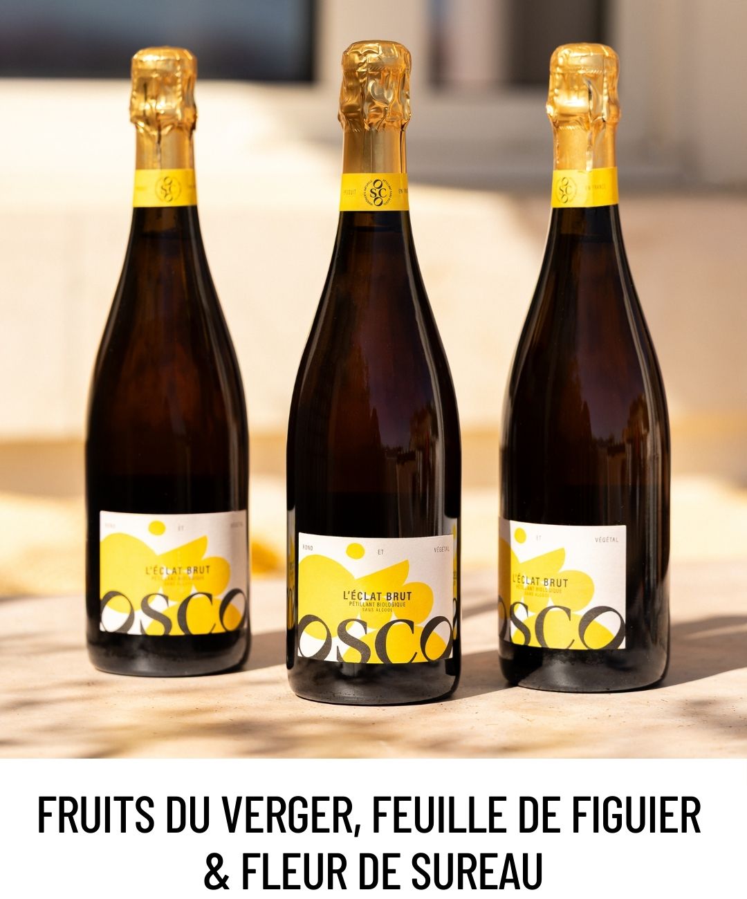 OSCO célèbre un savoir-faire artisanal et ancestral, inspiré par les terres baignées de lumière du Midi. Avec son caractère affirmé et son effervescence délicate, le pétillant sans alcool OSCO L’Éclat Brut offre un instant de fraîcheur Méditerranéenne pour prolonger l’évasion au fil des soirées d’été. Sans sucres ajoutés, il est faible en sucre.