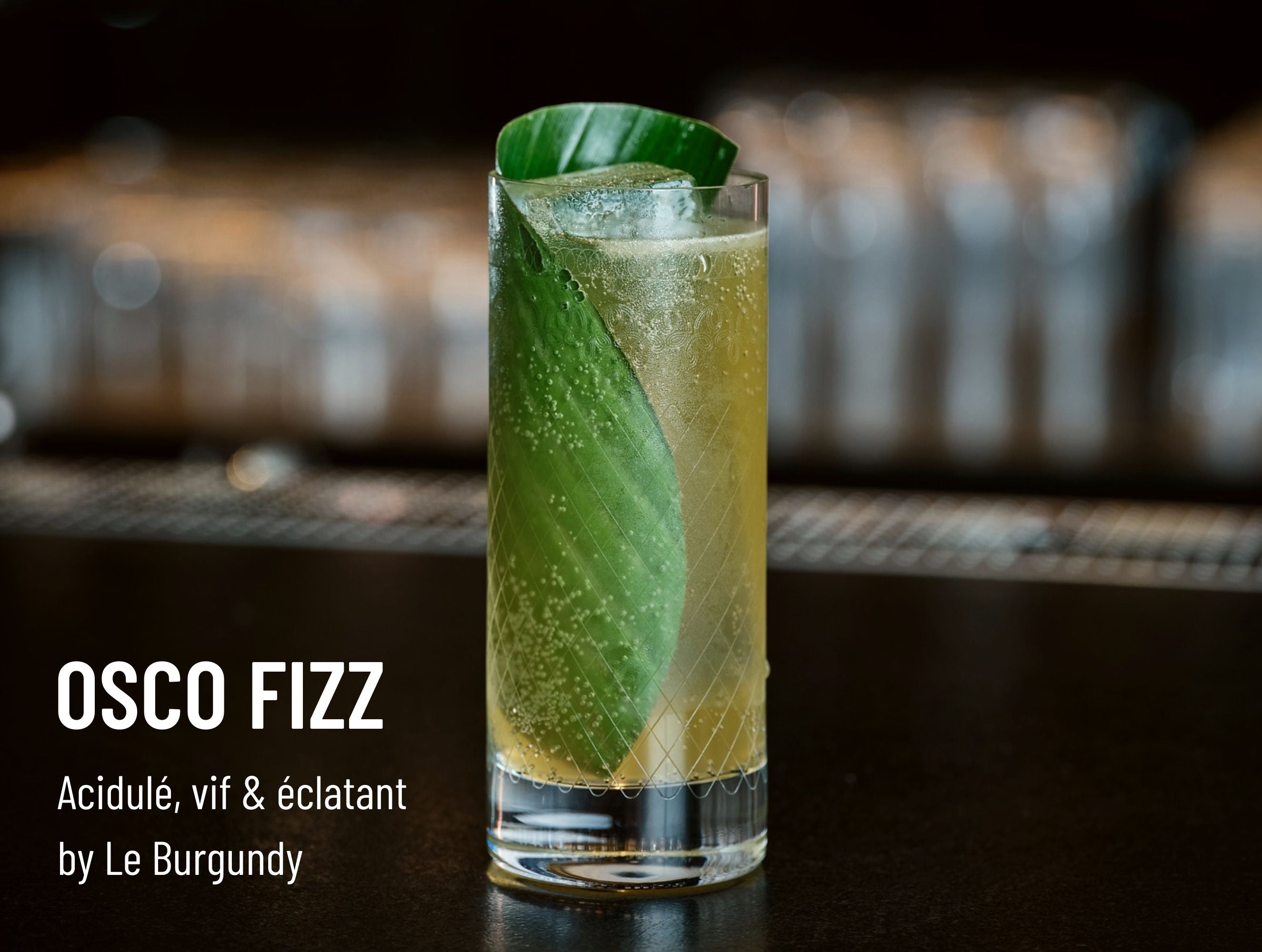 Verre de OSCO Fizz avec feuille de menthe, servi dans un bar chic, cocktail sans alcool haut de gamme