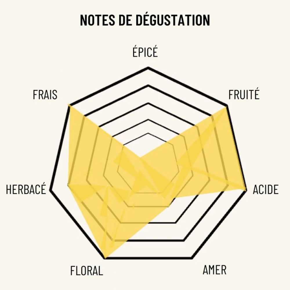 Profil aromatique de L’Éclat Brut OSCO, pétillant sans alcool frais, fruité, acidulé et floral, avec une légère amertume végétale.